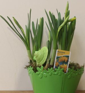 ASSEMBLAGE AU FIL DU TEMPS CHAPEAU_VERT