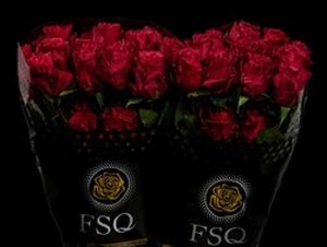 ROSE MERLOT 50