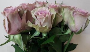 ROSE SAMANTHA BRIDAL KENIA 50